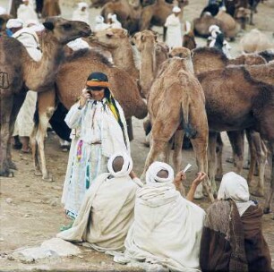 Heiratsmarkt der Berber : Berber mit Dromedaren auf dem Heiratsmarkt der Berber in Imilchil im Hohen Atlas