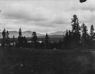 Yellowstone : Blick auf die Landschaft im Yellowstone-Nationalpark