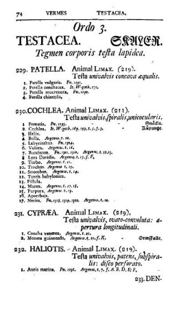 Ordo 3. Testacea
