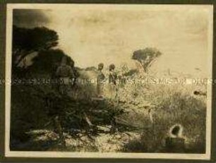 Askari und afrikanische Träger im Steppengras stehend