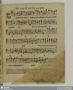 XVI. Trachtet am ersten