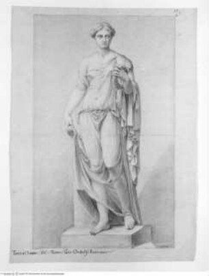 Concorso Accademico 1750, Terza Classe: Die Statue der Dea Flora im Palazzo Farnese, terzo premio