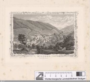 Wildbad von der Nordseite
