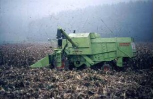 Fotografie: Erntetechnik, Mähdrusch, Mähdrescher selbstfahrend, Körnermais