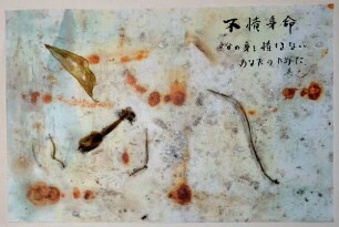 Insekten mit Japanischer Schrift