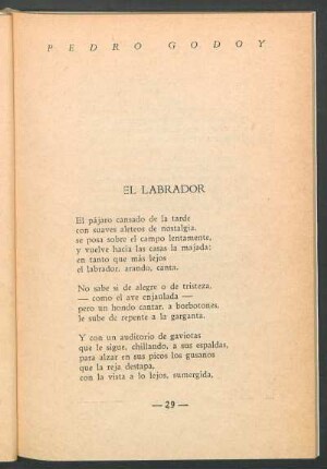 El labrador