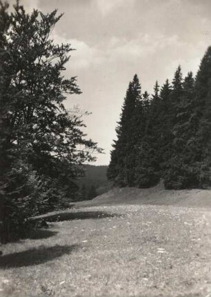 Westerzgebirge. Im Tal der Kleinen Bockau