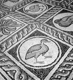 Mosaikfußboden aus dem Dorf Delphi : Mosaikfußboden aus dem Dorf Delphi (0/600). Delphi: Archäologisches Museum