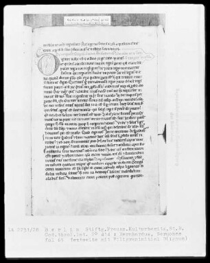 Bernhardus, Sermones quadragesimales — Initiale D (ignum), Folio 65 recto