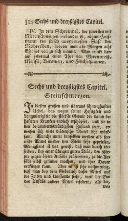 Sechs und dreyßigstes Capitel. Steinschmerzen.