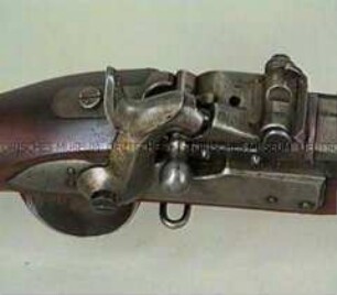 Infanteriegewehr u/M 1867, System Amsler, Schweiz