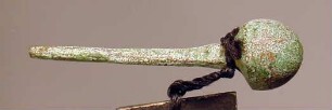 Bündel von zehn Nadeln (nur ein Stück erhalten)