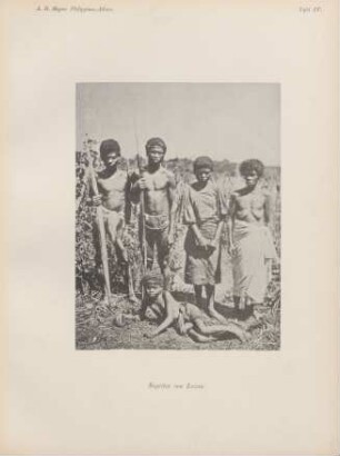 Tafel IV. Negritos von Luzon