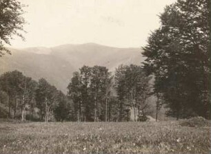 Blick vom Schauinsland nach Südosten, ins Sankt Wilhelmstal und zum Feldberg (1493 m)