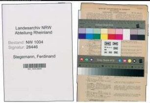 Entnazifizierung Ferdinand Stegemann , geb. 31.03.1892 (Pfarrer)