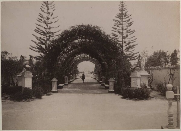 Cemetery in Lima