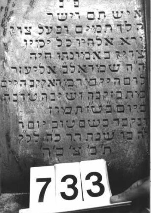 Grabstein 733 (Detailaufnahme)