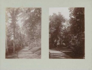 links: Weg im Garten des Erbgroßherzoglichen Palais in Karlsruhe rechts: Weg im Garten des Erbgroßherzoglichen Palais in Karlsruhe