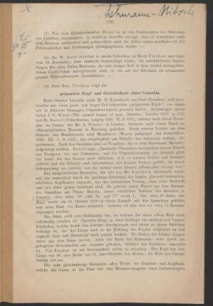 Herr Rud. Virchow zeigt die präparirte Kopf- und Gesichtshaut eines Guambia.