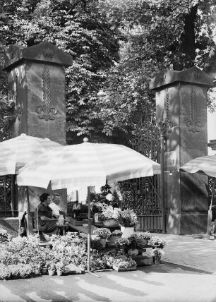 Trinitatisfriedhof : Dresden. Trinitatisfriedhof. Eingang (Pfeiler von Thormeyer), Blumenverkäuferinnen am Eingang