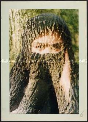 Überblendung von einem Kopf mit Kopftuch zu einem Baum (Altersgruppe 14-17)
