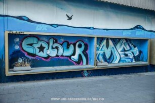 ColouR