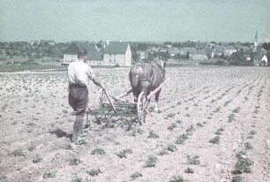 Vielfachgerät zum Anhäufeln von Kartoffeln,