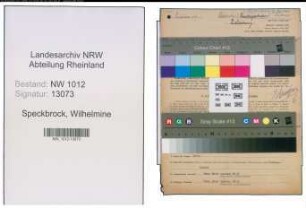 Entnazifizierung Wilhelmine Speckbrock , geb. 16.11.1906 (Kindergaertnerin)