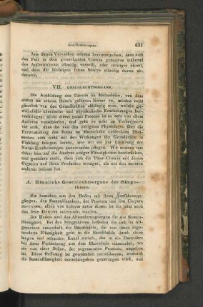 A. Männliche Geschlechtsorgane der Säugethiere.