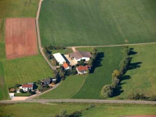 Kirchheim-Bolanden