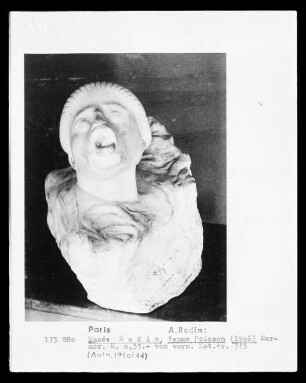 Femme Poisson