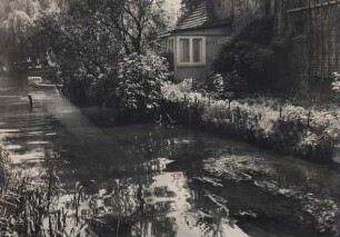 Fotografie des Ufers am Wehr von Müllrose.