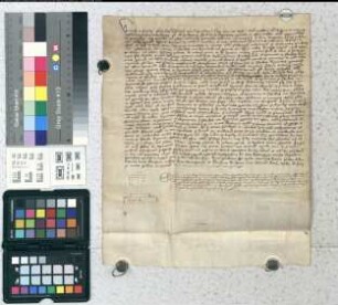 Statut des Paderborner Domkapitels, daß künftig niemand zum Kanonikat zugelassen werden solle, der nicht von beiden Eltern ritterbürtig sei und außerdem 60 Mark erlegt.