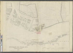 Blatt VII. 1877. : Steinwärder. St. Pauli. Altona.