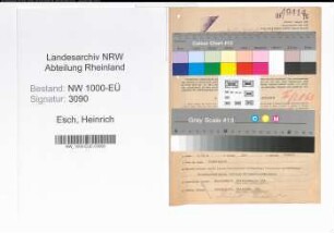 Entnazifizierung Heinrich Esch, geb. 12.06.1884 (Kaufm.Angest.)