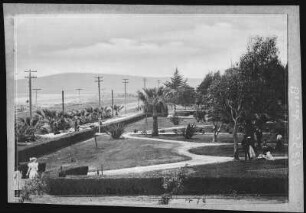 Long Beach. Park at Long Beach, California