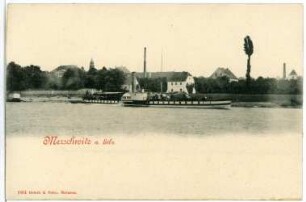 Blick auf Merschwitz mit Elbe und Dampfer