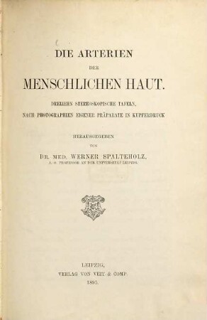 Die Arterien der menschlichen Haut