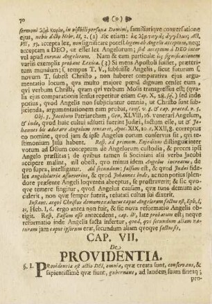 Cap. VII. De Providentia.