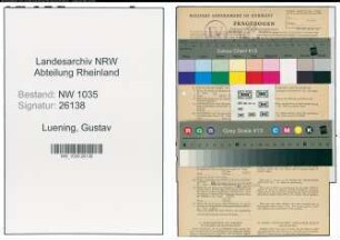 Entnazifizierung Gustav Luening , geb. 03.10.1889 (Angestellter)