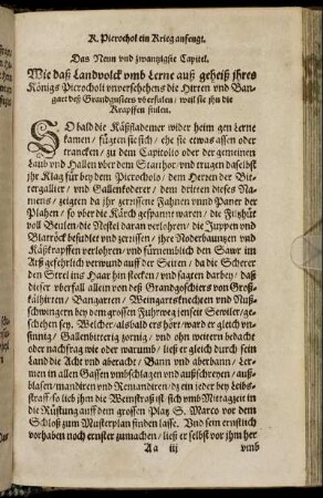 Das Neun und zwantzigste Capitel.