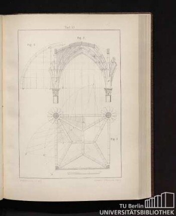 Taf. 55.