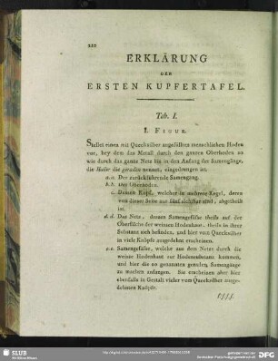 Erklärung Der Ersten Kupfertafel