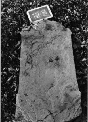 Grabstein 129 (Index: 100090318) Material: Sandstein Zustand: abgeblätt/verwitt. m. fast völl. Textverl. Maße HxBxT: 110x47x12 cm Beschreibung: Stele, Sockel, eingezogener Segmentbogenabschluß: Grabstein 129