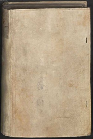 Ehrenbrief für Pfalzgräfin Mechthild, Herzogin von Österreich - BSB Cgm 9220