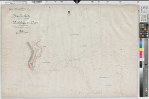 Wenholthausen (Eslohe), Separation Wenholthausen, Bl. 10 Brouillonkarte Flur 9