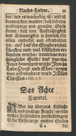 Das Achte Capittel.