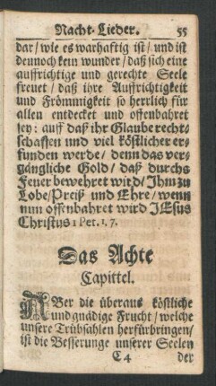 Das Achte Capittel.