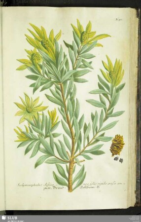 N. 901 - 950