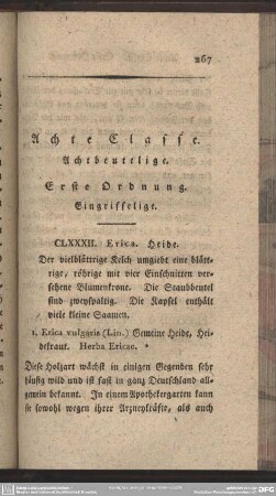 Achte Classe. Achtbeutelige